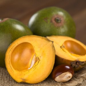 Anapur contains lucuma